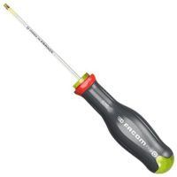 FACOM ATXRP25X100 DESTORNILLADOR TORX PLUS IPR25